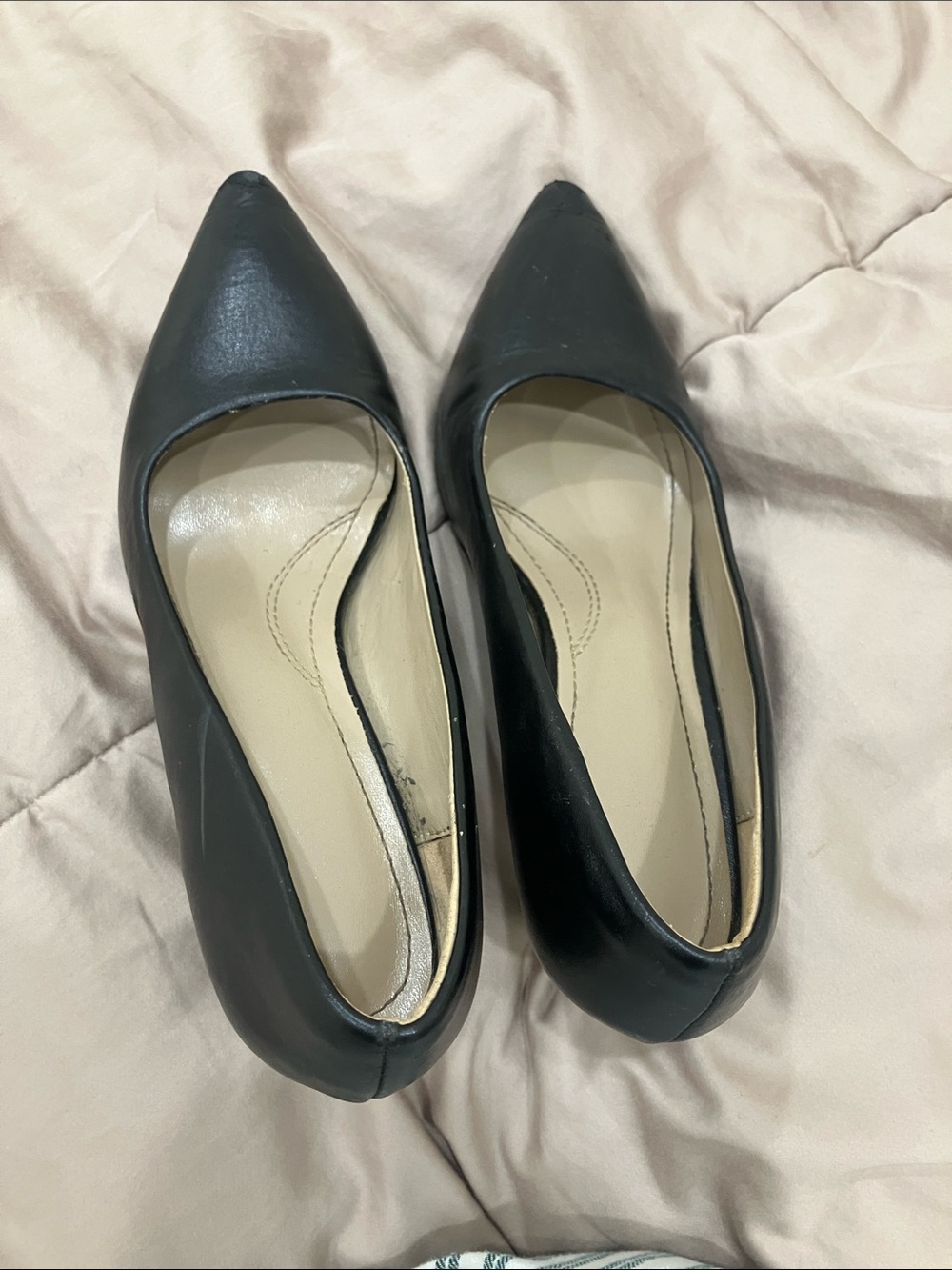 Classic Pointed Toe Women's Heels in Black